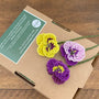 Beaded Flower Craft Kit - Pansy