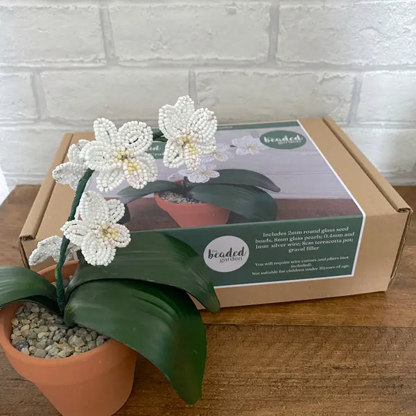Beaded Pot Plant Craft Kit - Orchid