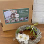 Floral Wreath Craft Kit - A Winter's Kiss Wreath