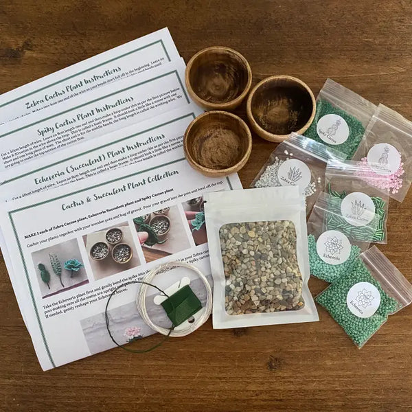 Beaded Plant Craft Kit - Cactus & Succulent