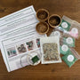 Beaded Plant Craft Kit - Cactus & Succulent