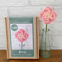 Beaded Flower Craft Kit - Peony