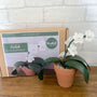 Beaded Pot Plant Craft Kit - Orchid