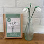 Beaded Flower Craft Kit - Snowdrop