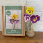 Beaded Flower Craft Kit - Pansy