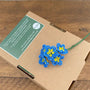 Beaded Flower Craft Kit - Forget Me Not