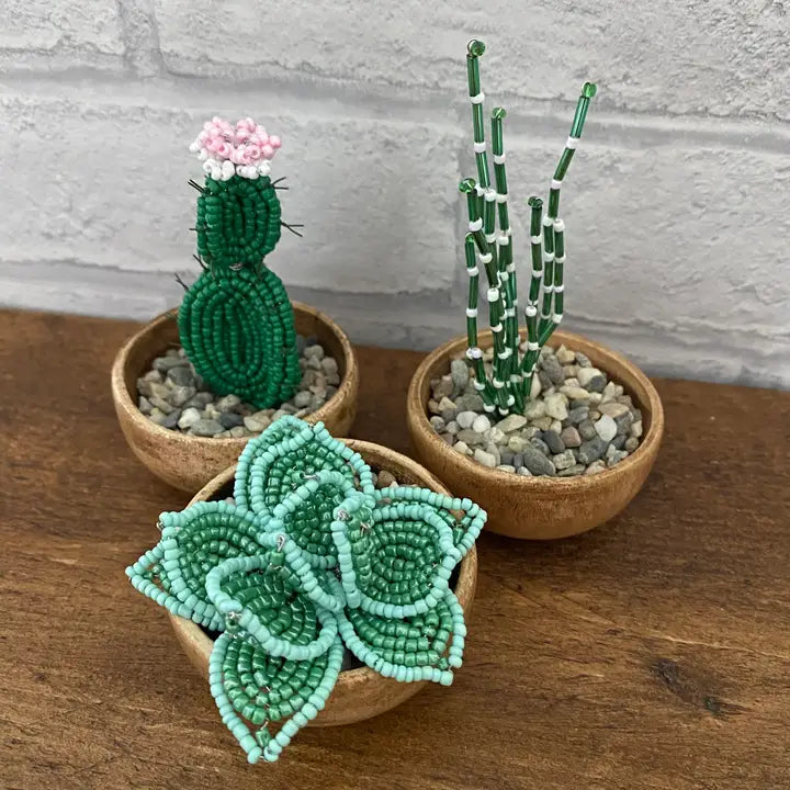 Beaded Plant Craft Kit - Cactus & Succulent