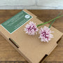Beaded Flower Craft Kit - Clover