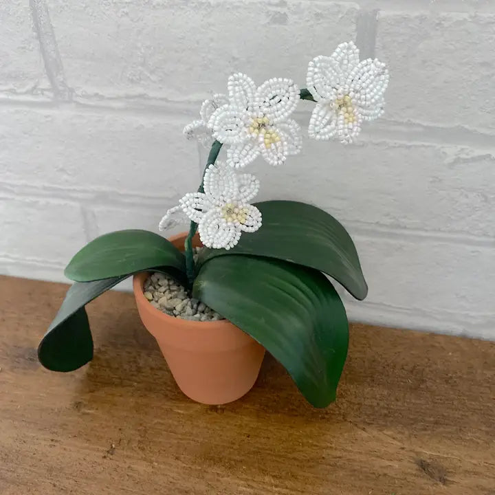 Beaded Pot Plant Craft Kit - Orchid