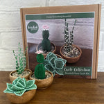 Beaded Plant Craft Kit - Cactus & Succulent