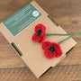 Beaded Flower Craft Kit - Poppy