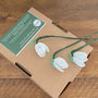 Beaded Flower Craft Kit - Snowdrop
