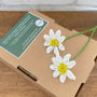Beaded Flower Craft Kit - Daisy